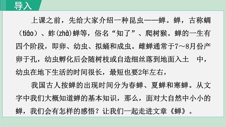 21《蝉》课件+素材01