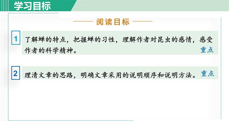 21《蝉》课件+素材03