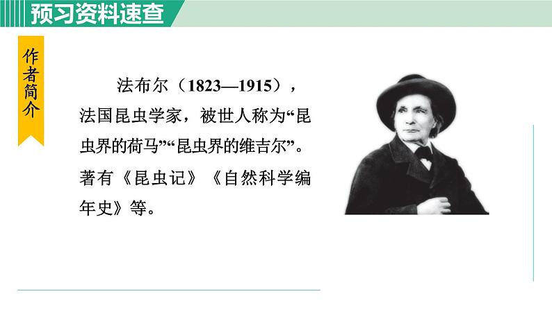 21《蝉》课件+素材06