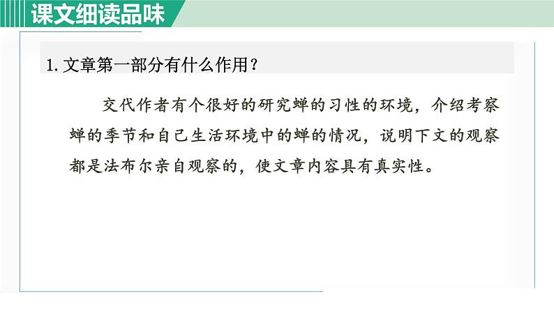 21《蝉》课件+素材02