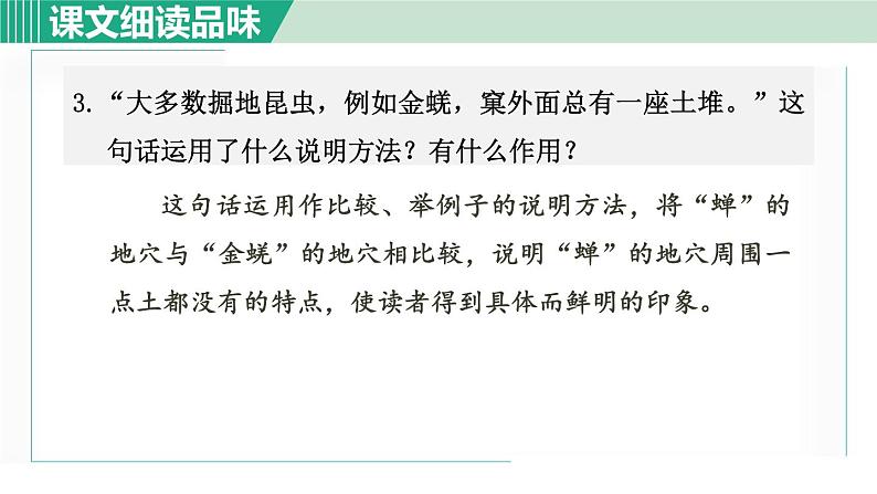 21《蝉》课件+素材04