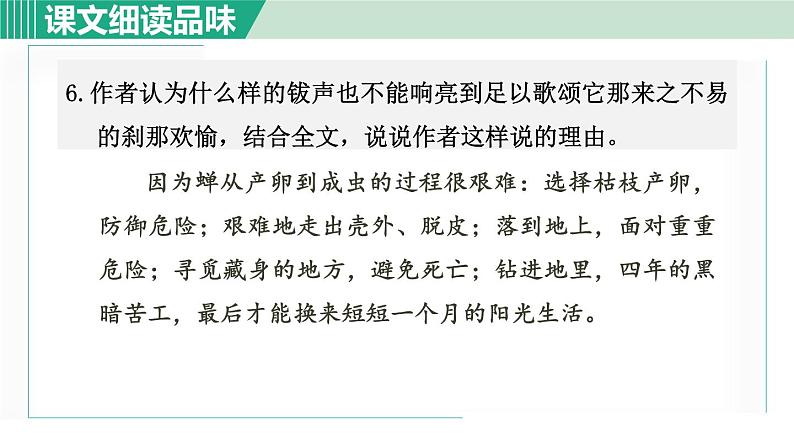 21《蝉》课件+素材07