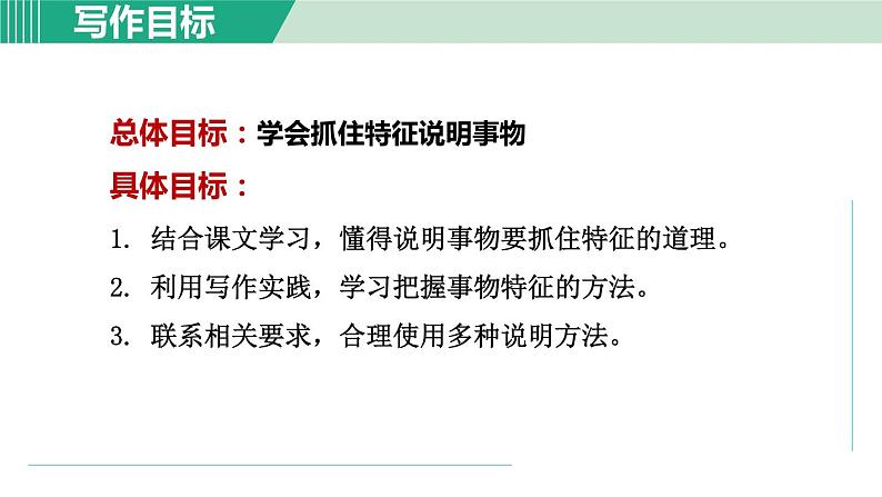 部编版语文八年级上册 第五单元 写作：说明事物要抓住特征课件PPT02