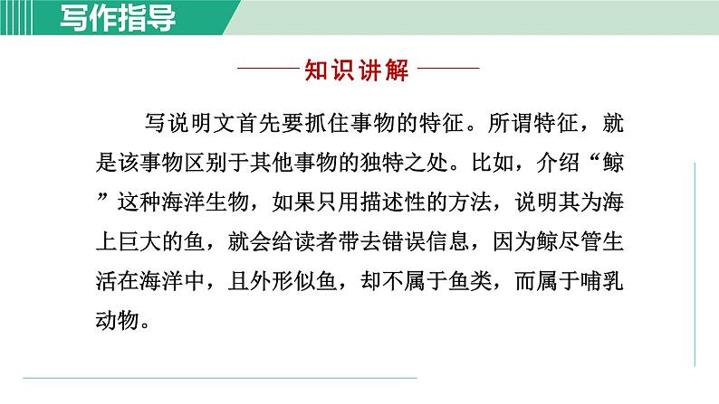 部编版语文八年级上册 第五单元 写作：说明事物要抓住特征课件PPT03