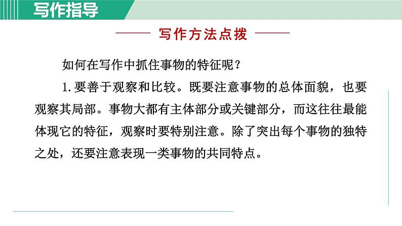 部编版语文八年级上册 第五单元 写作：说明事物要抓住特征课件PPT06