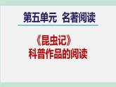 部编版语文八年级上册 第五单元 名著导读：《昆虫记》课件PPT