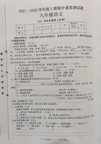 河南省驻马店市汝南县2021-2022学年九年级上学期期中语文试题