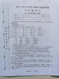 河南省驻马店市汝南县2021-2022学年七年级上学期期中语文试题