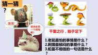 初中语文人教部编版七年级上册动物笑谈教课内容ppt课件