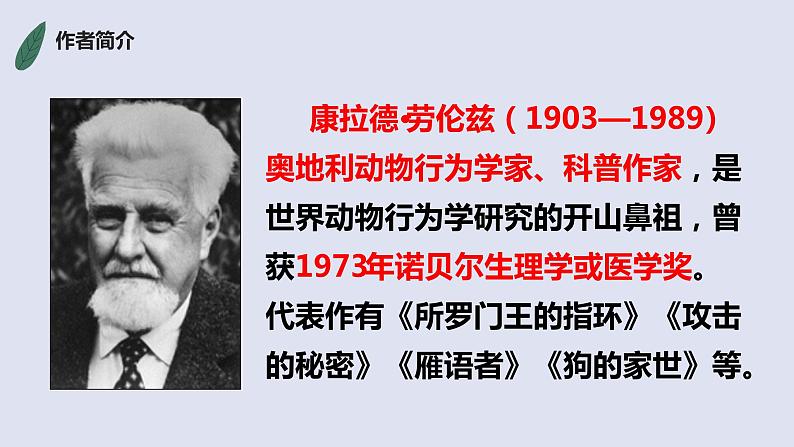 第17课《动物笑谈》课件（共25张PPT）2021—2022学年部编版语文七年级上册第5页