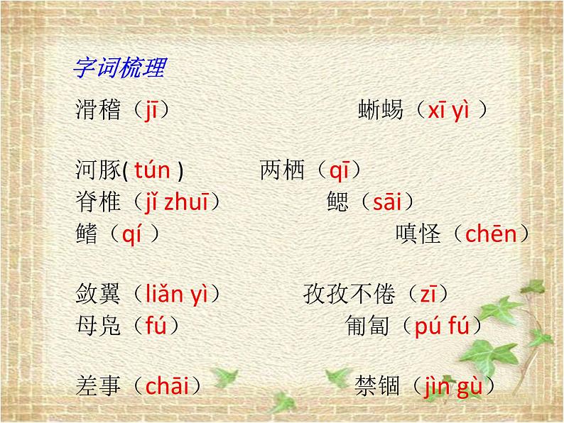 第17课《 动物笑谈》课件（共20张PPT）2021—2022学年部编版语文七年级上册第4页