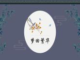 第22课《梦回繁华》课件（共17张PPT） 2021-2022学年部编版语文八年级上册