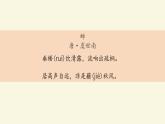 第21课《蝉》课件（共18张PPT）  2021—2022学年部编版语文八年级上册