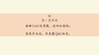 人教部编版八年级上册21* 蝉课文ppt课件