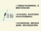 第21课《蝉》课件（共18张PPT）  2021—2022学年部编版语文八年级上册
