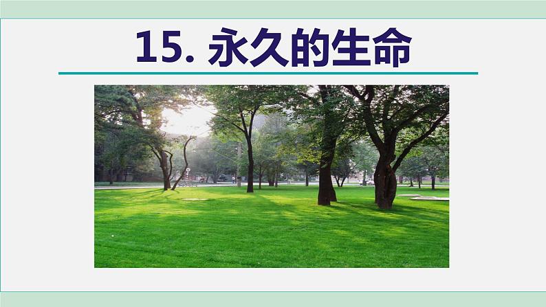 16. 永久的生命第2页