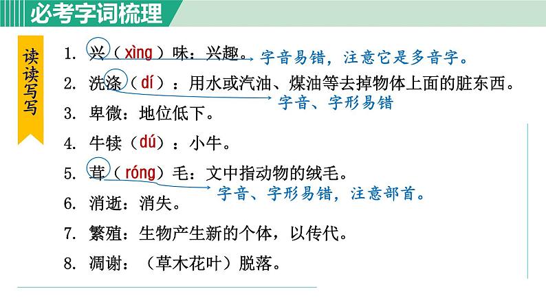 16. 永久的生命第8页