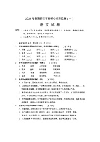 2021年四川省南充市九年级下学期学科核心素养监测（一）语文试题