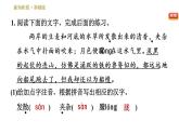 人教版八年级下册语文 第1单元 1 社戏 习题课件