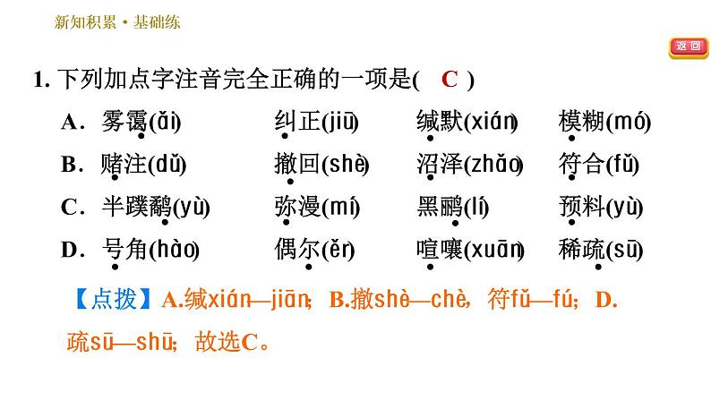 人教版八年级下册语文 第2单元 7 大雁归来 习题课件第4页