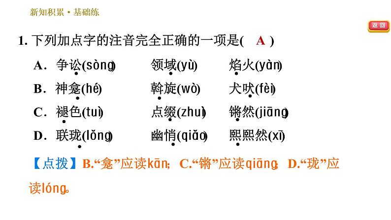 人教版八年级下册语文 第1单元 4 灯笼. 习题课件04