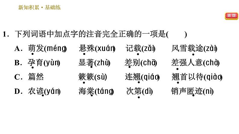 人教版八年级下册语文 第2单元 5 大自然的语言 习题课件04
