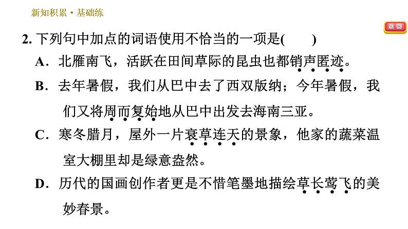 人教版八年级下册语文 第2单元 5 大自然的语言 习题课件06