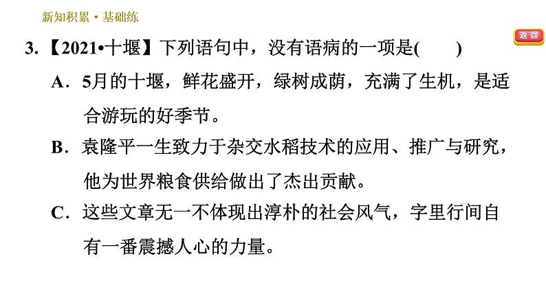 人教版八年级下册语文 第2单元 5 大自然的语言 习题课件08