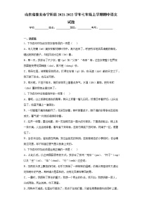 山东省泰安市宁阳县2021-2022学年七年级上学期期中语文试题（word版 含答案）