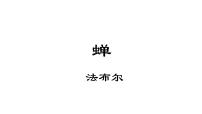 初中人教部编版21* 蝉多媒体教学课件ppt