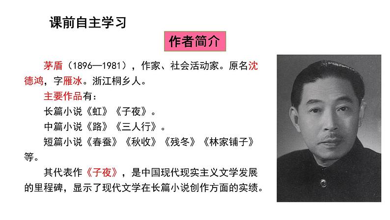 第15课白杨礼赞课件（共23张PPT）2021—2022学年部编版语文八年级上册04