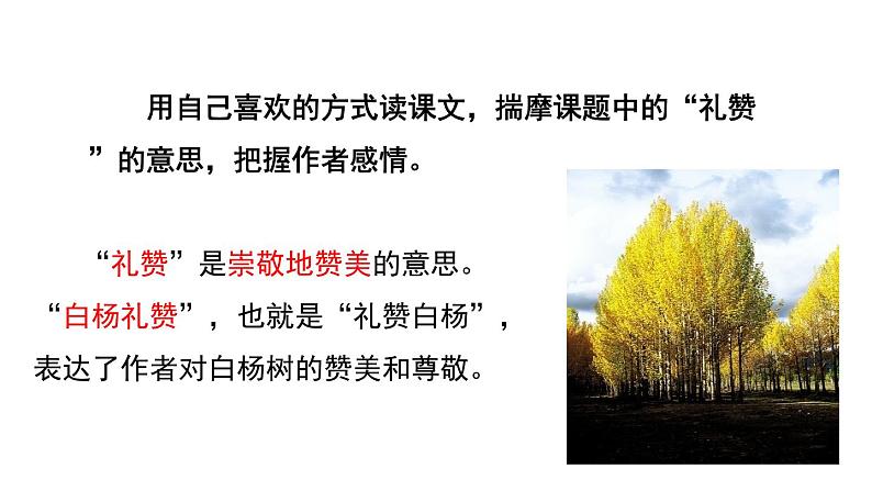 第15课白杨礼赞课件（共23张PPT）2021—2022学年部编版语文八年级上册08