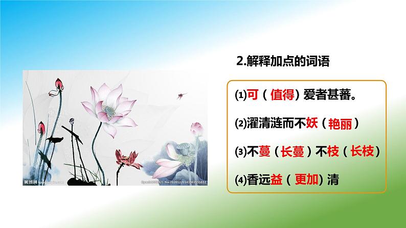 《爱莲说》课件（第2课时）第3页