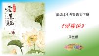 人教部编版七年级下册爱莲说说课ppt课件