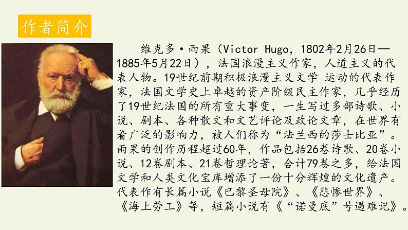 部编版（五四）语文九年级上 7 就英法联军远征中国致巴特勒上尉的信（课件）06