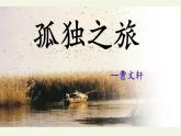 部编版（五四）语文九年级上 16 孤独之旅（课件）