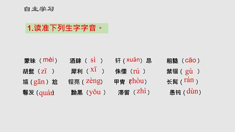 第8课《列夫 托尔斯泰》课件（共33张PPT）2021－2022学年部编版语文八年级上册第4页