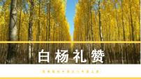 人教部编版八年级上册14 白杨礼赞课文配套ppt课件