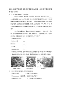 2021-2022学年江苏省苏州市高新区九年级（上）期中语文试卷  解析版
