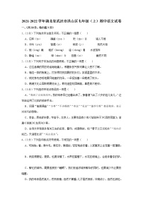湖北省武汉市洪山区2021-2022学年七年级上学期期中考试语文试卷（word版 含答案）