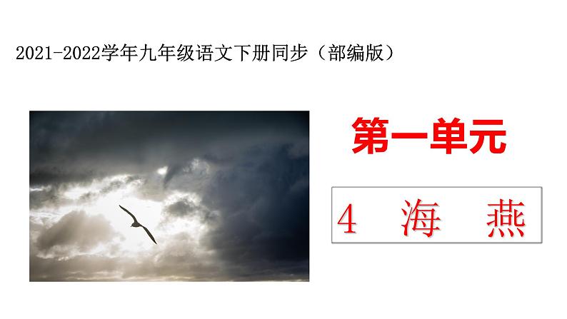 第04课  海燕（课件）（共30张PPT）第1页