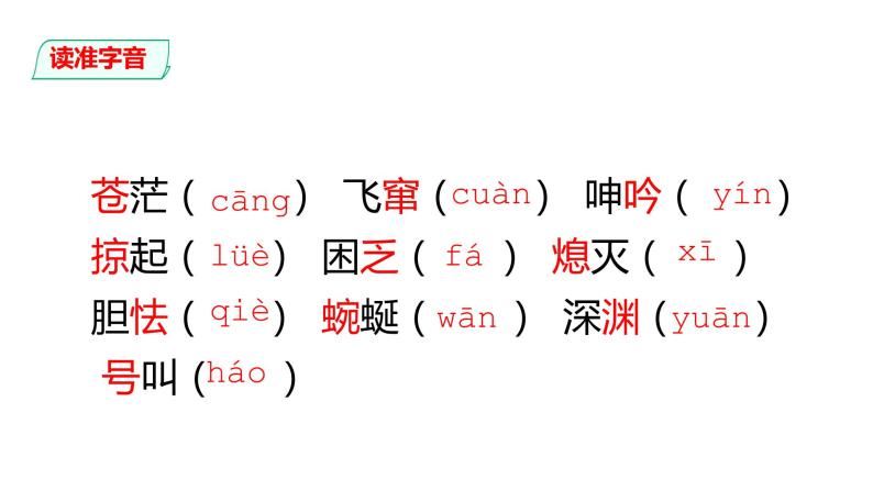 部编版九年级语文下册---第04课  海燕 课件+ 素材05