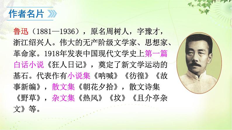 9  从百草园到三味书屋课件PPT04