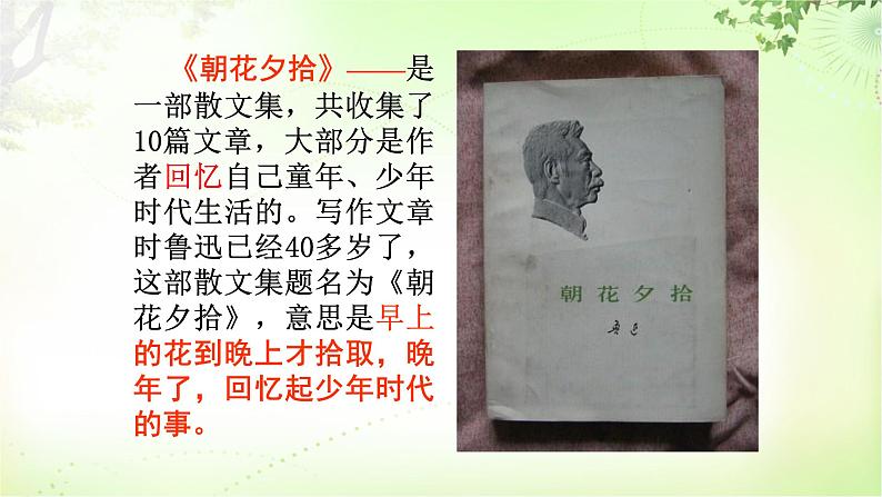 9  从百草园到三味书屋课件PPT05