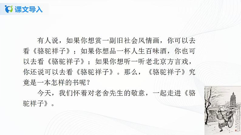《骆驼祥子》第一课时课件第3页