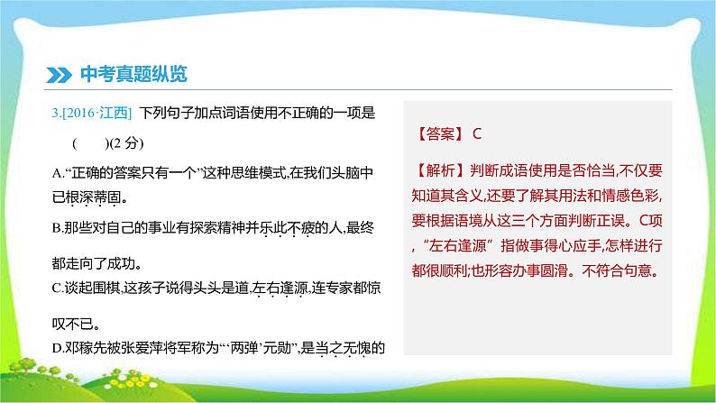 中考语文总复习专题二词语运用形完美课件PPT04
