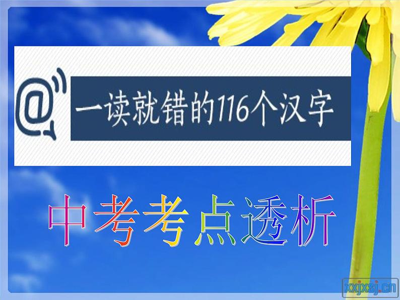 17中考语文考点透析语文基础知识+现代文阅读  练习第3页