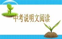 13中考语文考点透析现代文阅读训练—说明文（ppt65张）