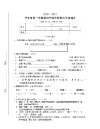 江苏省南京市2021—2022学年九年级上学期期初学情分析语文开学考试卷（无答案）