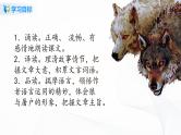 2021（五四制）部编人教版《狼》PPT课件+教案+音频+课时练习（带答案）